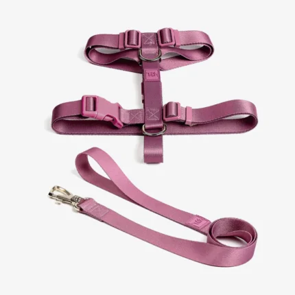 Conjunto Peitoral H + Guia Bruma – TOH