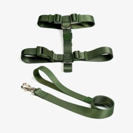 Conjunto Peitoral H + Guia Florest – TOH