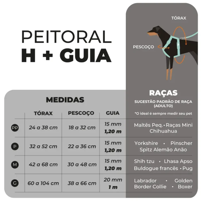 Conjunto Peitoral H + Guia Florest – TOH - Imagem 2