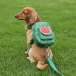 Peitoral com Mochila Melancia Verde – Praia Pet